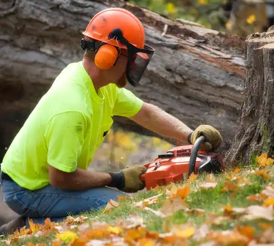 tree services Tunica Resorts